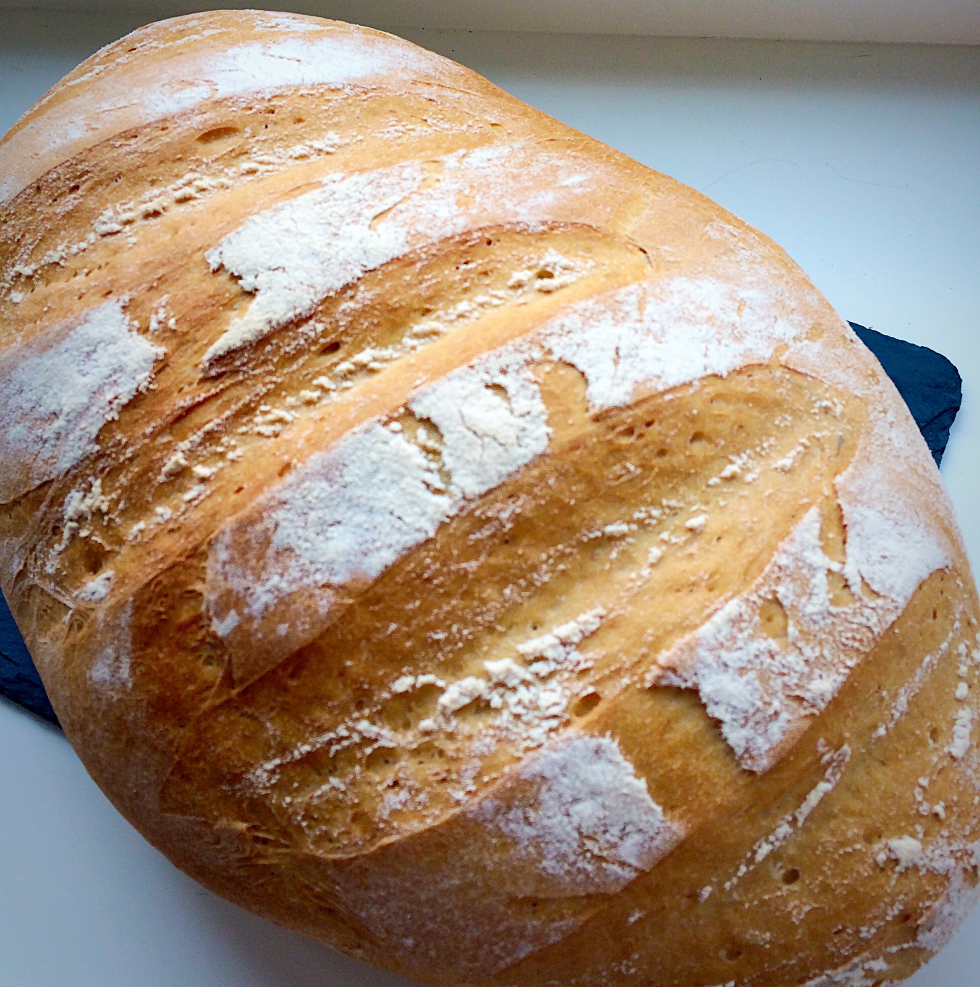 Large White Bloomer Feasting Is Fun
