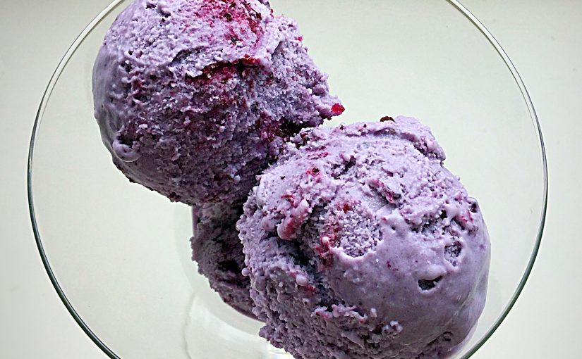 Blueberry Bloom Ice Cream Feasting Is Fun