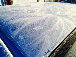 Feathery fronds of ice crystals on the top of my car - breath taking.