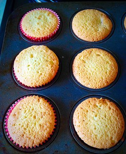 Remove from the oven and allow to cool for 10 minutes in the tin before transferring them to a cooling rack.