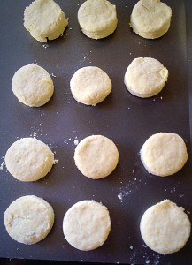 Place the cut out scones onto a non stick baking sheet, or line a baking tray with parchment paper.