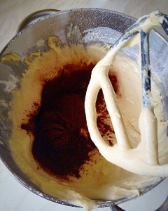 Add the cocoa to the mixer bowl.