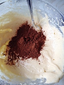 Add the cocoa to half of the cake batter. Mix well to incorporate.
