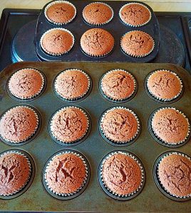 Tins containing freshly baked chocolate cupcakes.