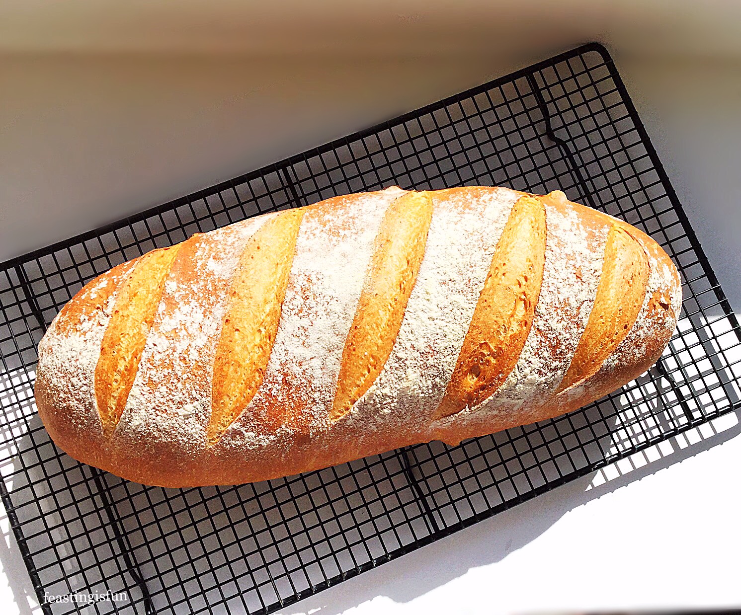 Large White Bloomer - Feasting Is Fun