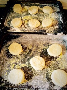 Place the cutout discs onto the prepared baking sheets.