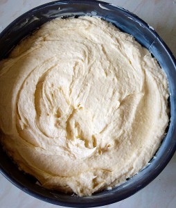 Place the cake batter into the springform pan.