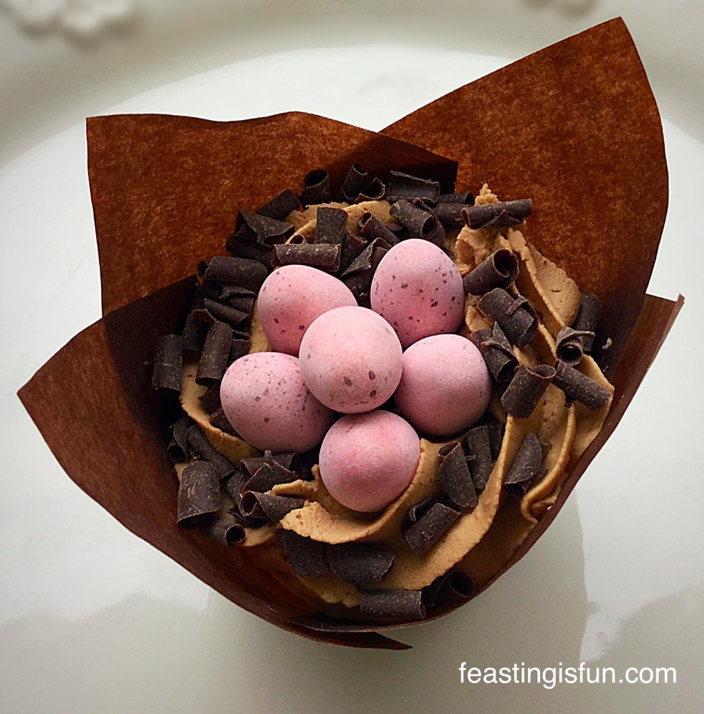 RT Vanilla Mini Egg Nest Cupcakes 