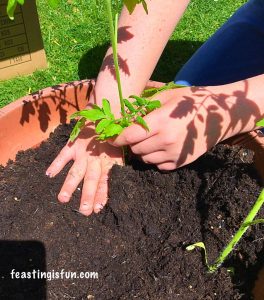 FF Growing Vegetables Weeks 3-4
