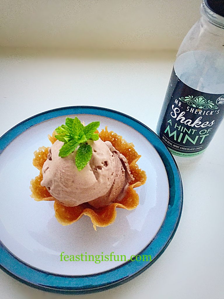 FF Mint Chocolate Milkshake Ice Cream 