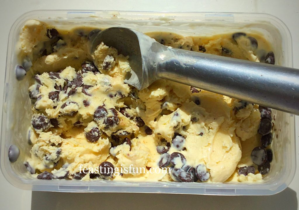 FF Dark Chocolate Chip Vanilla Ice Cream