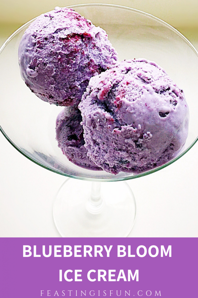 Blueberry Bloom Ice Cream image for Pinterest with descriptive graphics.