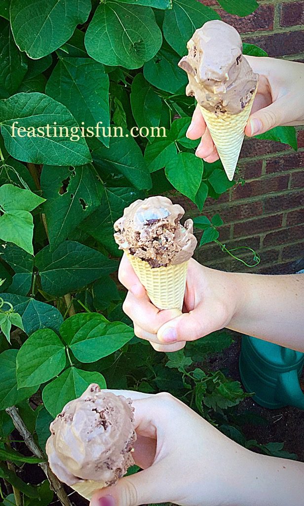 FF Triple Chocolate Chunk Ice Cream