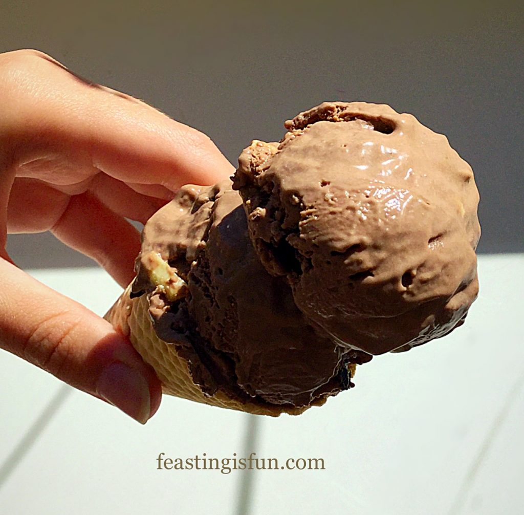FF Triple Chocolate Chunk Ice Cream