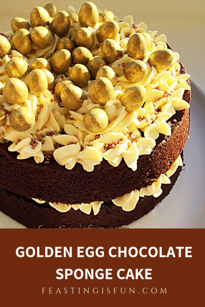 FF Golden Egg Chocolate Sponge Cake