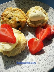 FF Almond Topped Cherry Scones 