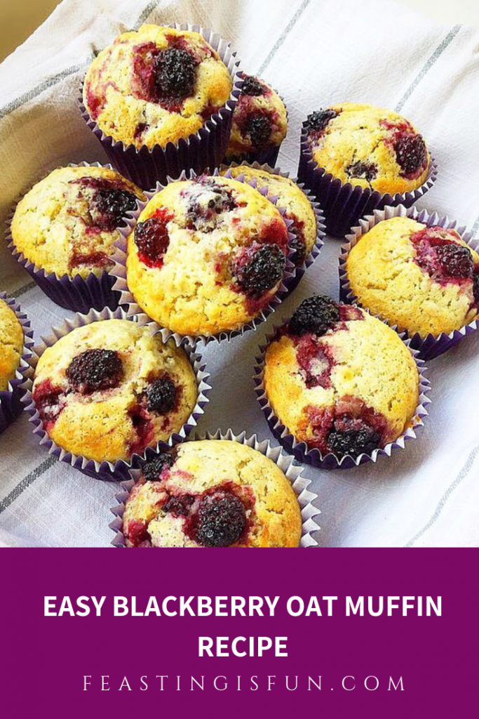FF Easy Blackberry Oat Muffin Recipe