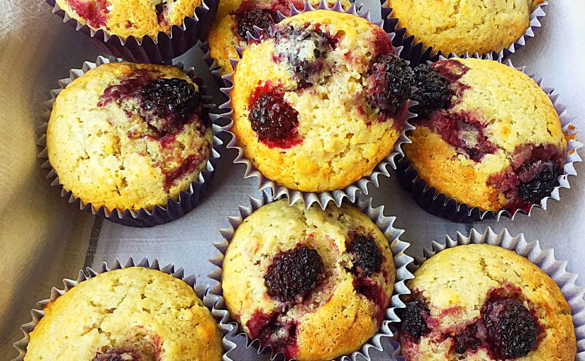 Easy Blackberry Oat Muffin Recipe